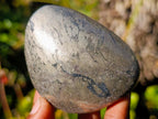 Polished Basalt Pharaoh Stone Galets x 6 From Iron Duke Mine, Zimbabwe - Toprock Gemstones and Minerals 