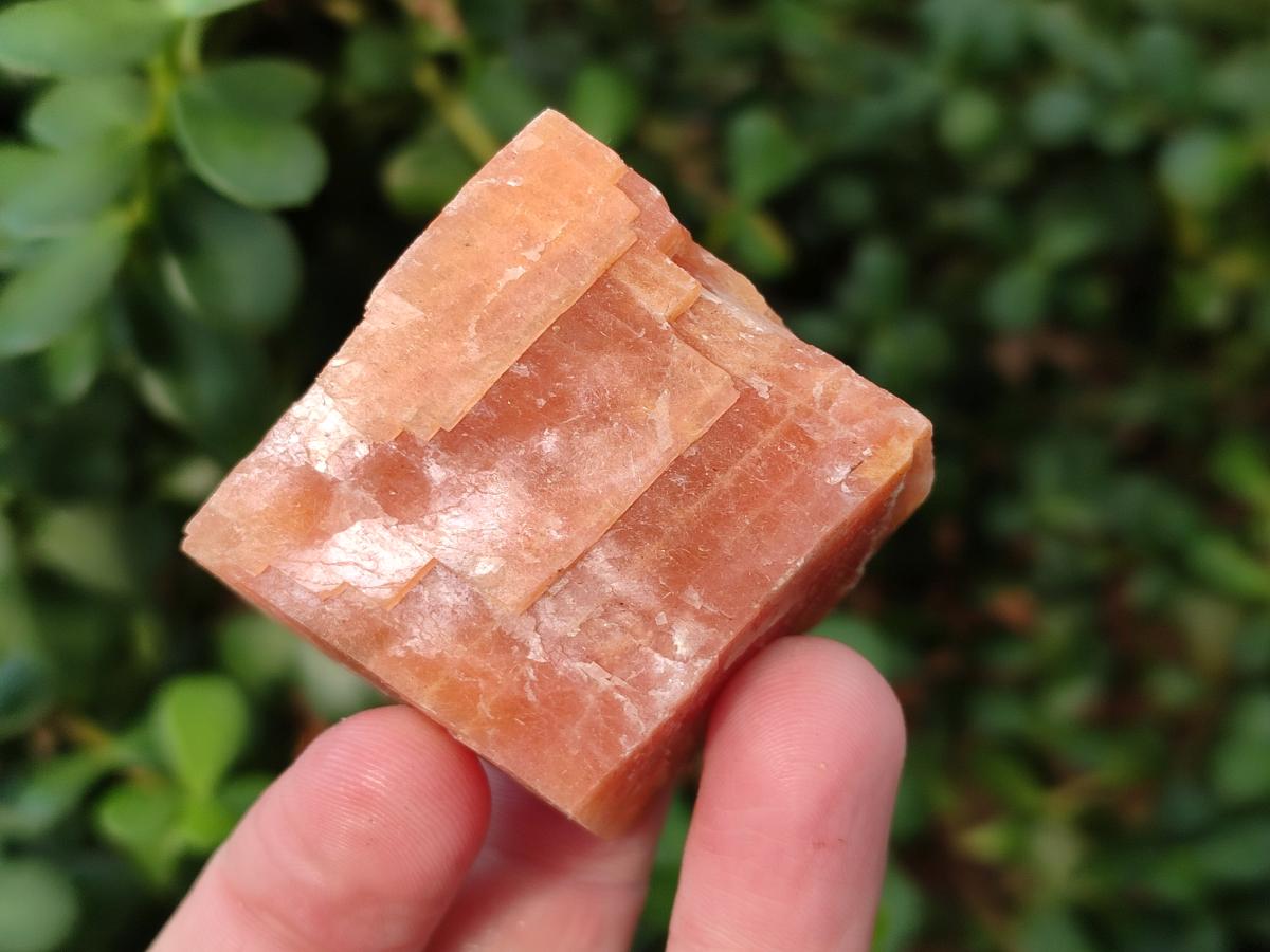 Natural Rhombohedral Sunset Orange Calcite Specimens x 24 From Spitzkop, Namibia - Toprock Gemstones and Minerals 