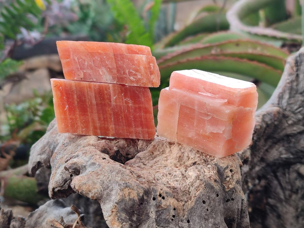 Natural Rhombohedral Sunset Orange Calcite Specimens x 24 From Spitzkop, Namibia - Toprock Gemstones and Minerals 
