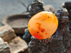 Polished Small Carnelian Agate Gemstone Galets x 35 From Madagascar - Toprock Gemstones and Minerals 