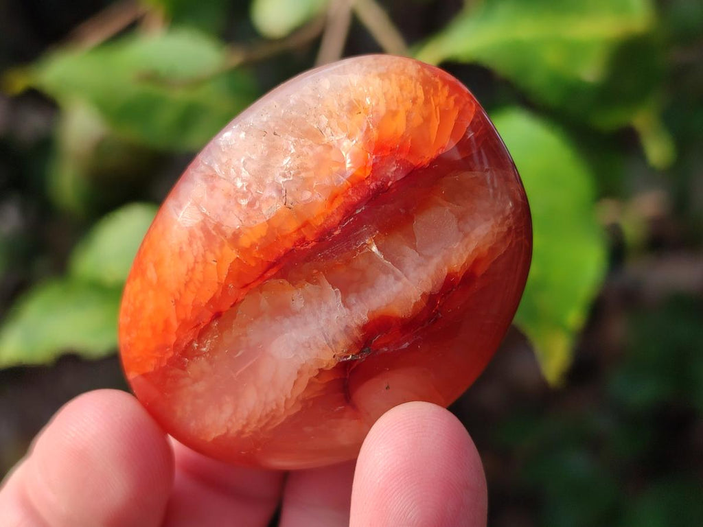 Polished Small Carnelian Agate Gemstone Galets x 35 From Madagascar - Toprock Gemstones and Minerals 