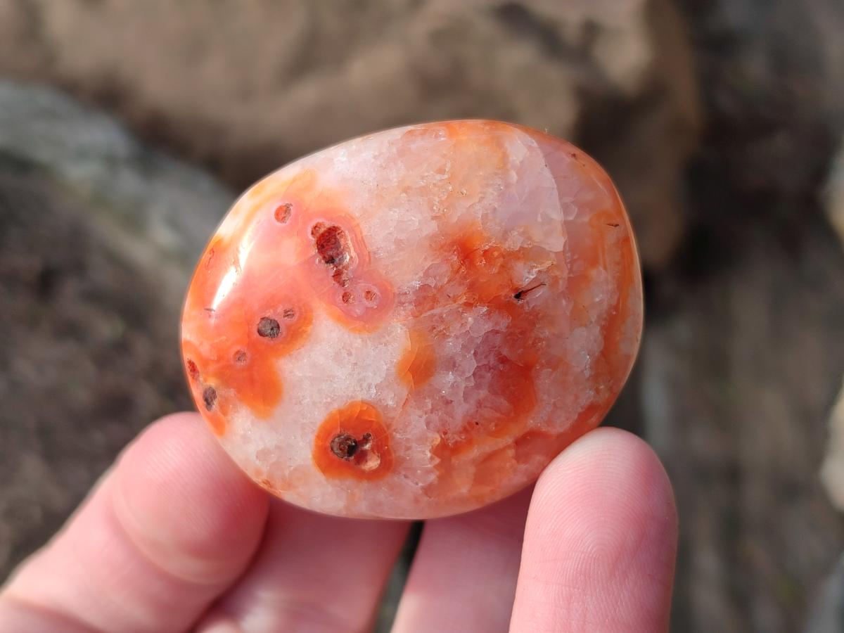 Polished Small Carnelian Agate Gemstone Galets x 35 From Madagascar - Toprock Gemstones and Minerals 