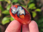 Polished Small Carnelian Agate Gemstone Galets x 35 From Madagascar - Toprock Gemstones and Minerals 