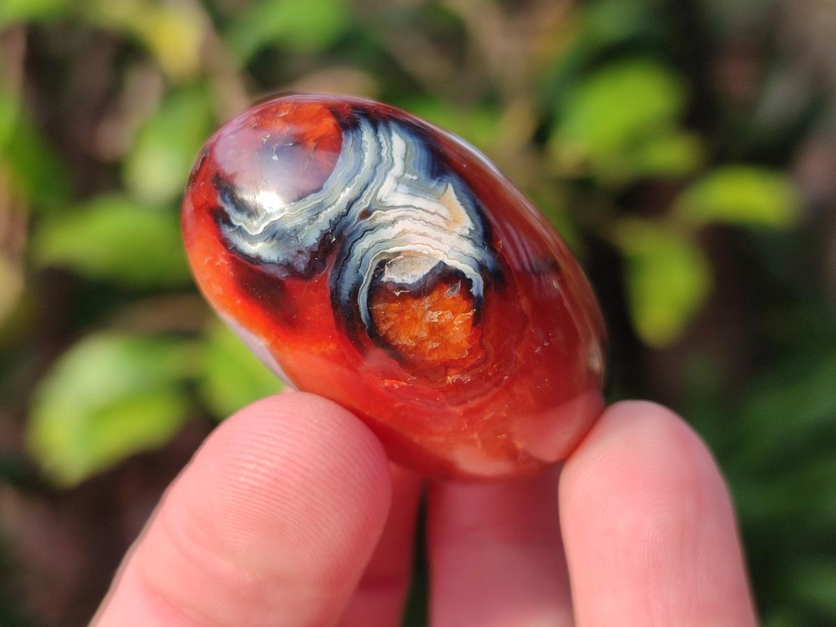 Polished Small Carnelian Agate Gemstone Galets x 35 From Madagascar - Toprock Gemstones and Minerals 