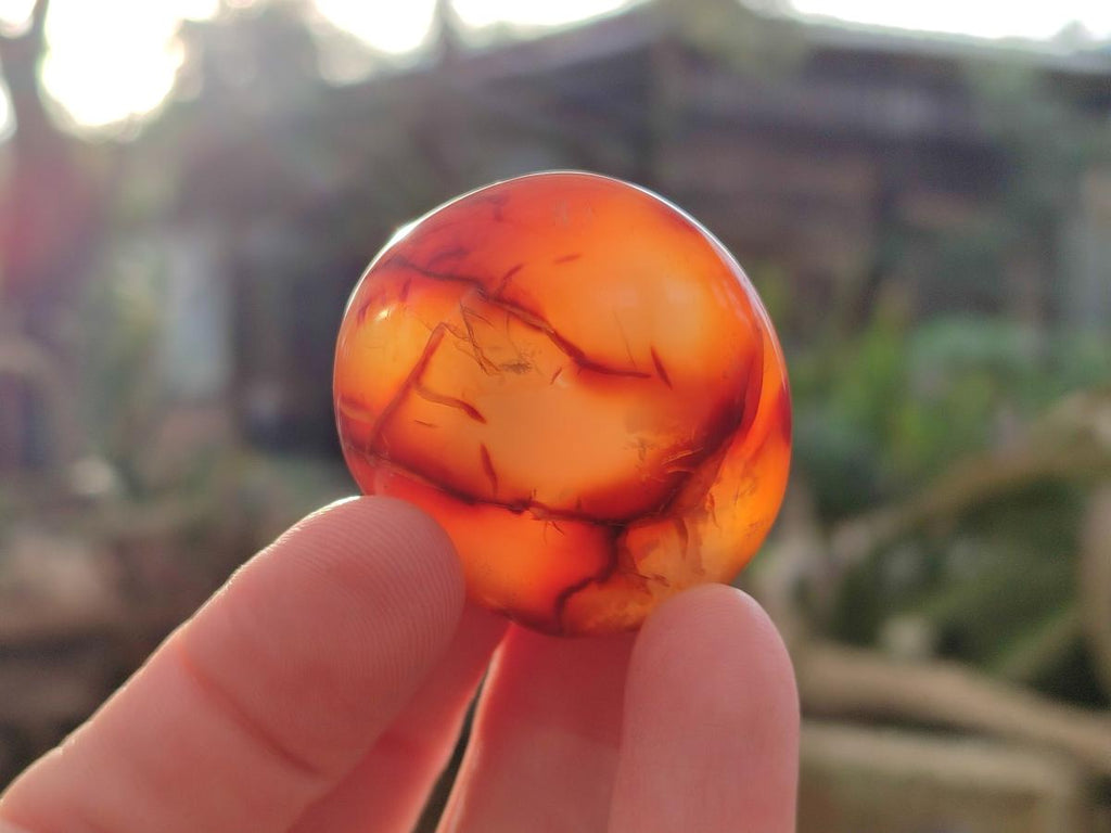 Polished Small Carnelian Agate Gemstone Galets x 35 From Madagascar - Toprock Gemstones and Minerals 