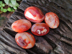 Polished Small Carnelian Agate Gemstone Galets x 35 From Madagascar - Toprock Gemstones and Minerals 