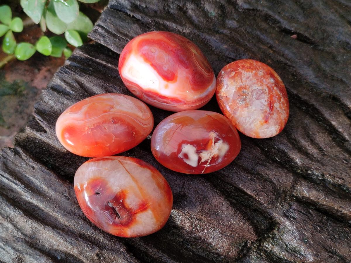 Polished Small Carnelian Agate Gemstone Galets x 35 From Madagascar - Toprock Gemstones and Minerals 