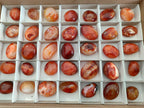 Polished Small Carnelian Agate Gemstone Galets x 35 From Madagascar - Toprock Gemstones and Minerals 