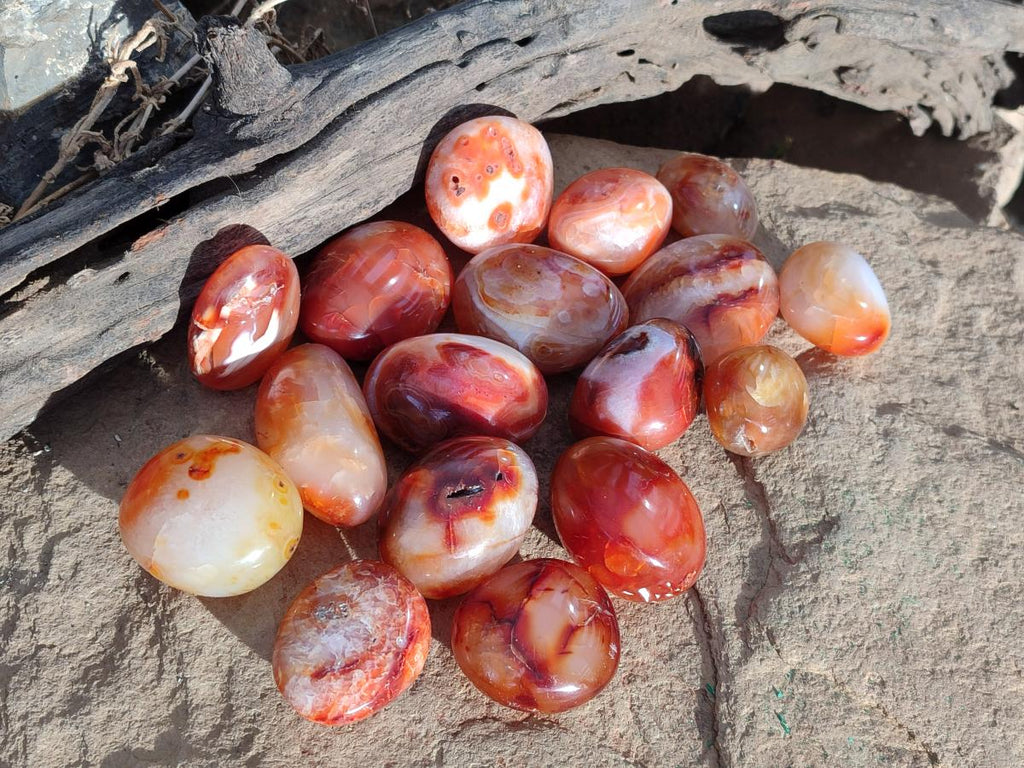 Polished Small Carnelian Agate Gemstone Galets x 35 From Madagascar - Toprock Gemstones and Minerals 