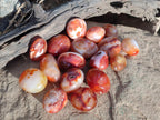 Polished Small Carnelian Agate Gemstone Galets x 35 From Madagascar - Toprock Gemstones and Minerals 