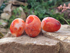 Polished Small Carnelian Agate Gemstone Galets x 35 From Madagascar - Toprock Gemstones and Minerals 