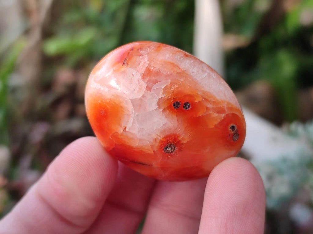 Polished Small Carnelian Agate Gemstone Galets x 35 From Madagascar - Toprock Gemstones and Minerals 