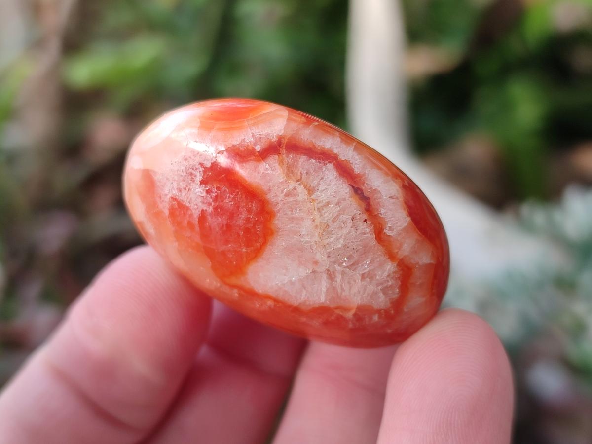 Polished Small Carnelian Agate Gemstone Galets x 35 From Madagascar - Toprock Gemstones and Minerals 