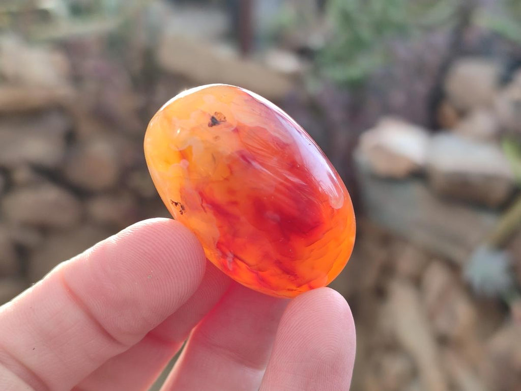 Polished Small Carnelian Agate Gemstone Galets x 35 From Madagascar - Toprock Gemstones and Minerals 