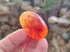 Polished Small Carnelian Agate Gemstone Galets x 35 From Madagascar - Toprock Gemstones and Minerals 