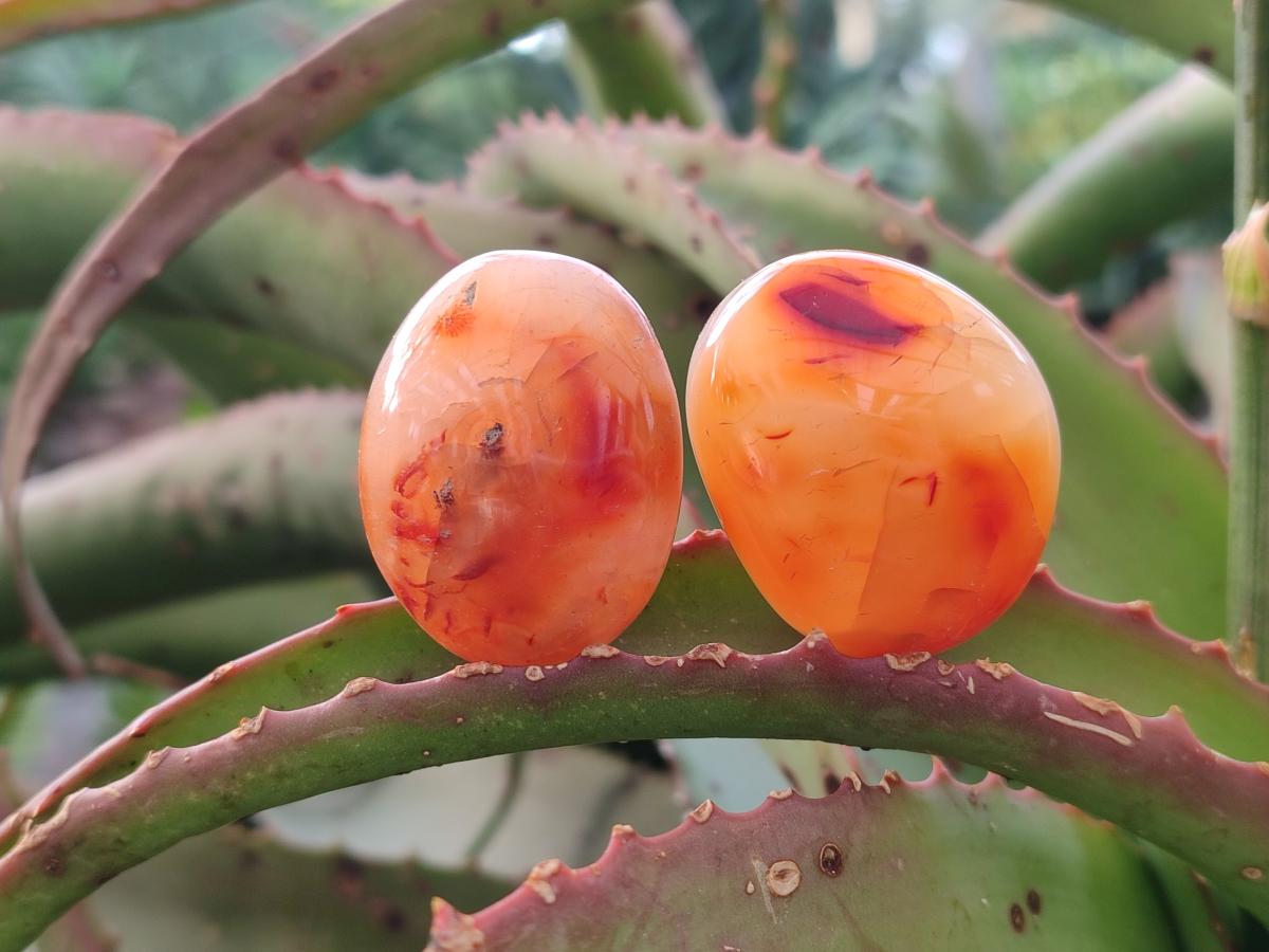 Polished Small Carnelian Agate Gemstone Galets x 35 From Madagascar - Toprock Gemstones and Minerals 
