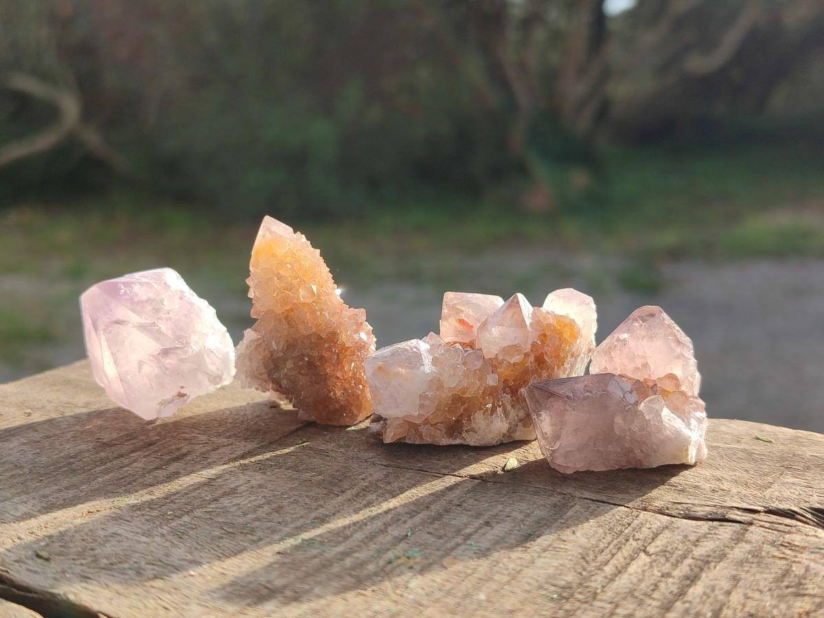 Natural Spirit Amethyst Clusters and Crystals x 65 From Boekenhouthoek, South Africa - Toprock Gemstones and Minerals 
