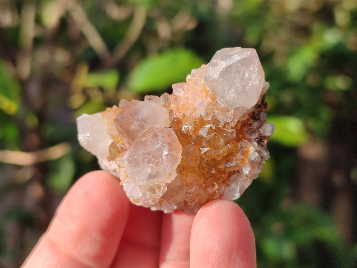 Natural Spirit Amethyst Clusters and Crystals x 65 From Boekenhouthoek, South Africa - Toprock Gemstones and Minerals 