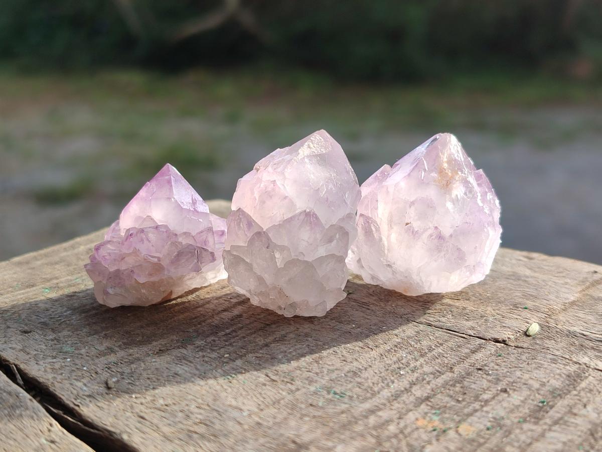 Natural Spirit Amethyst Clusters and Crystals x 65 From Boekenhouthoek, South Africa - Toprock Gemstones and Minerals 