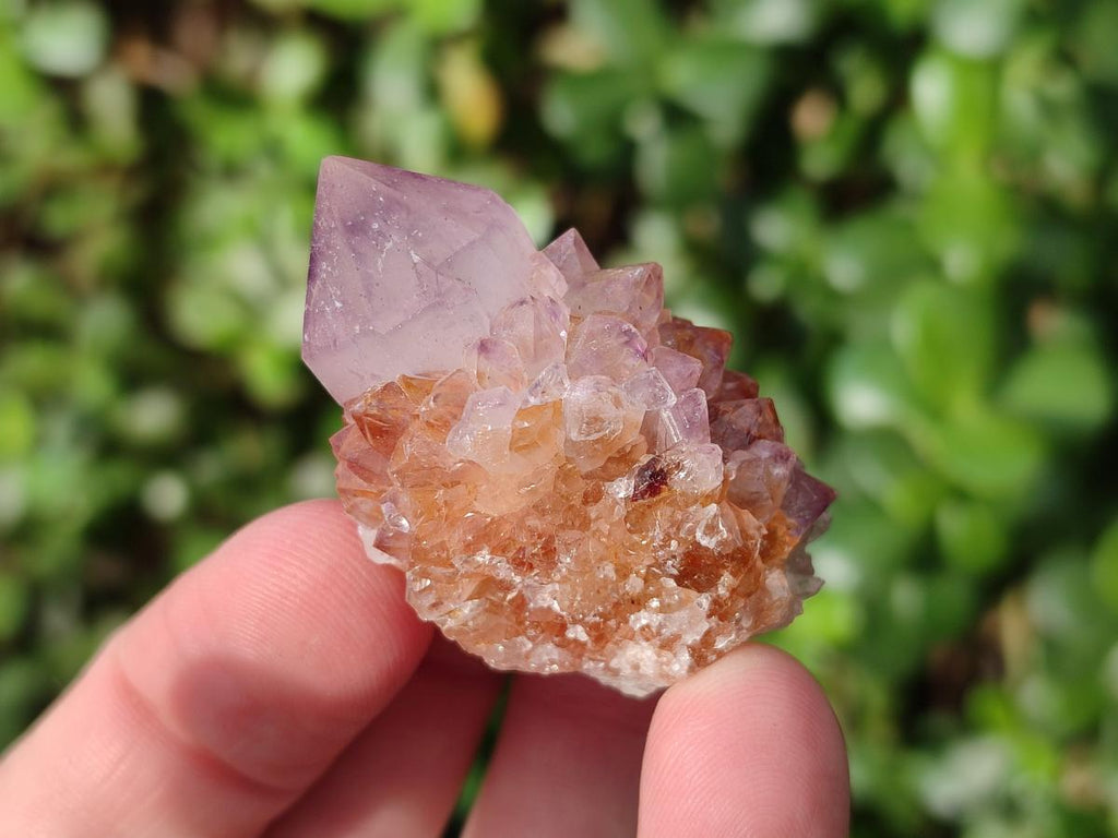 Natural Spirit Amethyst Clusters and Crystals x 65 From Boekenhouthoek, South Africa - Toprock Gemstones and Minerals 