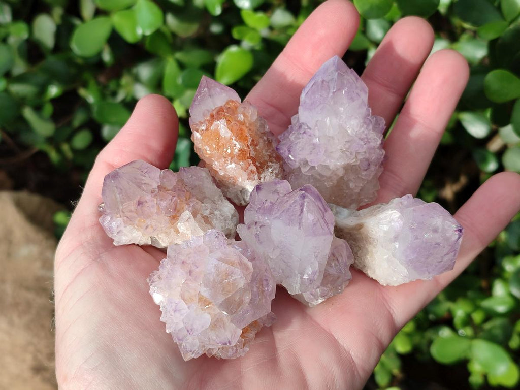 Natural Spirit Amethyst Clusters and Crystals x 65 From Boekenhouthoek, South Africa - Toprock Gemstones and Minerals 