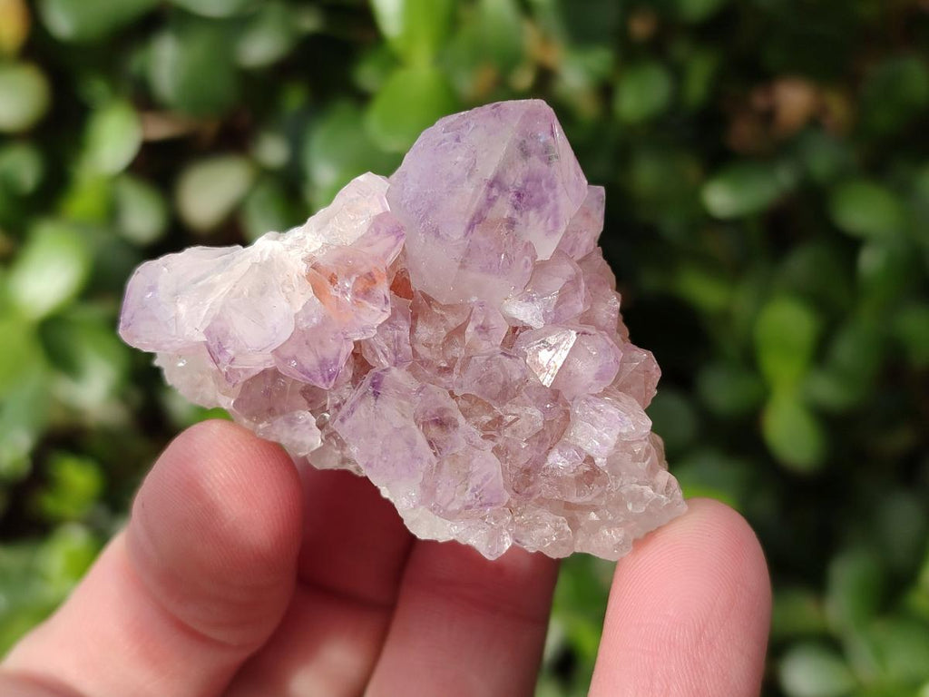 Natural Spirit Amethyst Clusters and Crystals x 65 From Boekenhouthoek, South Africa - Toprock Gemstones and Minerals 