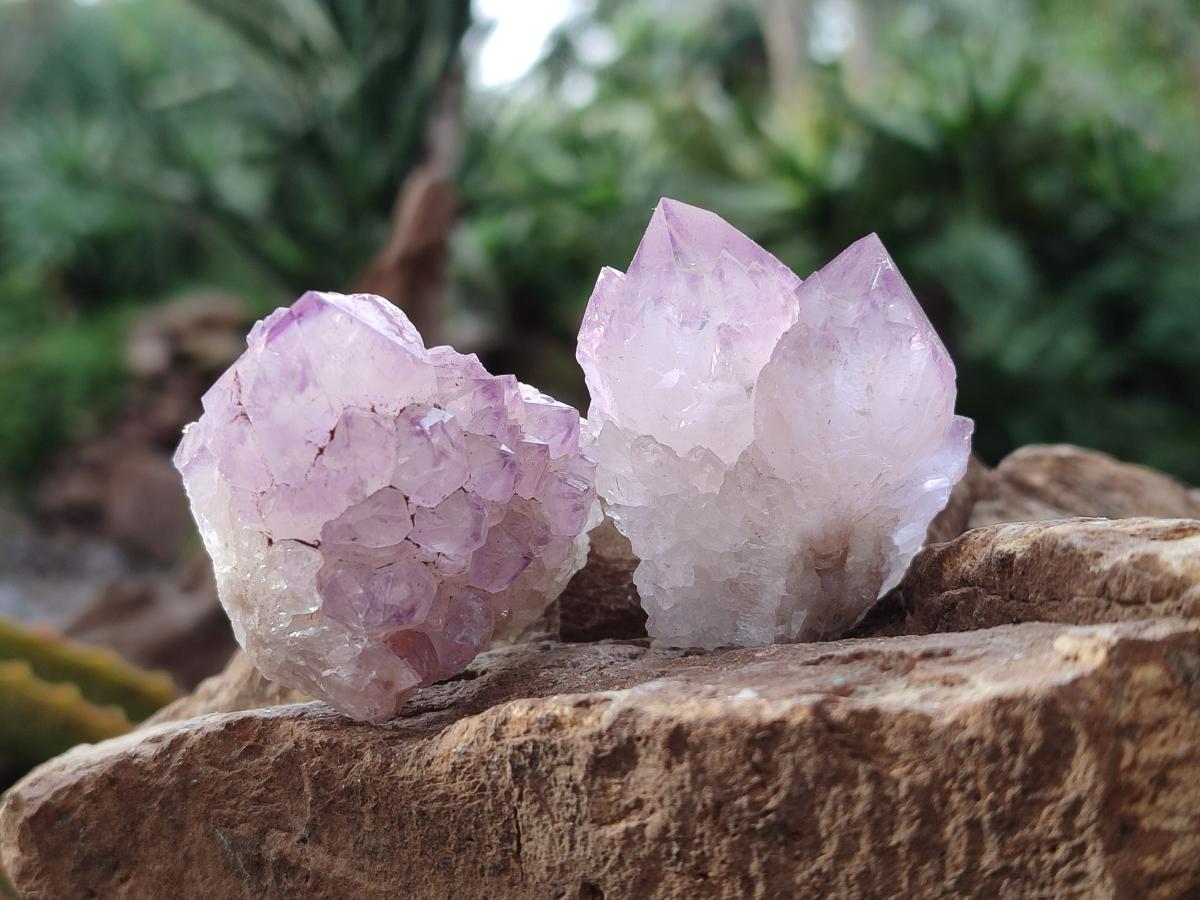 Natural Spirit Amethyst Clusters and Crystals x 65 From Boekenhouthoek, South Africa - Toprock Gemstones and Minerals 