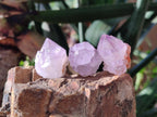 Natural Spirit Amethyst Clusters and Crystals x 65 From Boekenhouthoek, South Africa - Toprock Gemstones and Minerals 