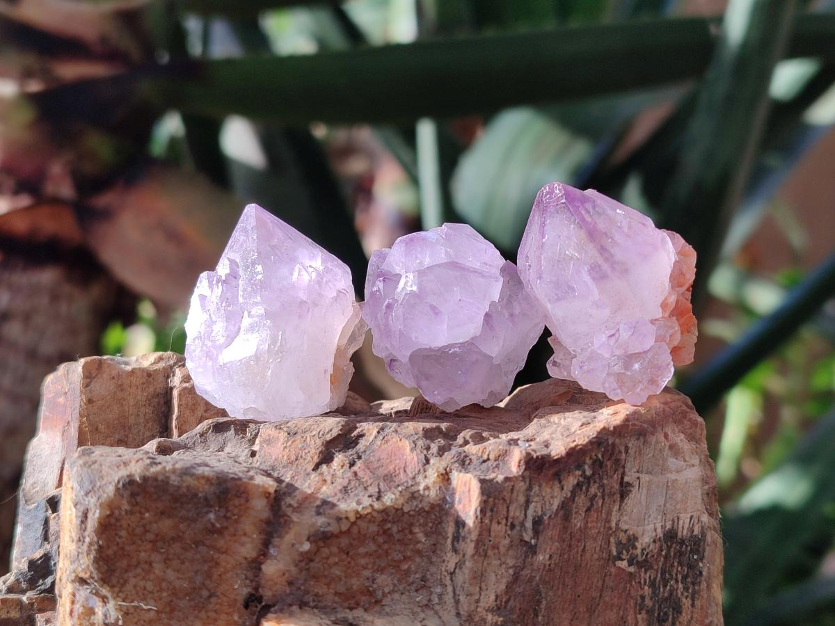 Natural Spirit Amethyst Clusters and Crystals x 65 From Boekenhouthoek, South Africa - Toprock Gemstones and Minerals 