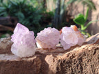 Natural Spirit Amethyst Clusters and Crystals x 65 From Boekenhouthoek, South Africa - Toprock Gemstones and Minerals 