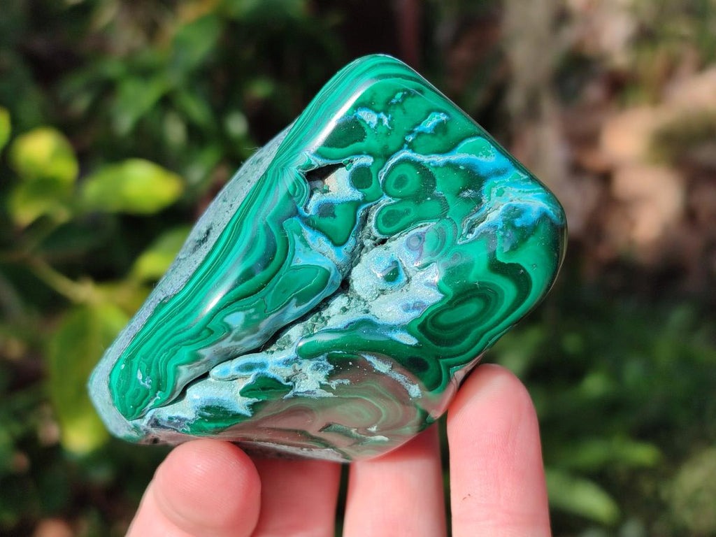 Polished Malacolla Free Forms x 12 From Kulukuluku, Congo - Toprock Gemstones and Minerals 