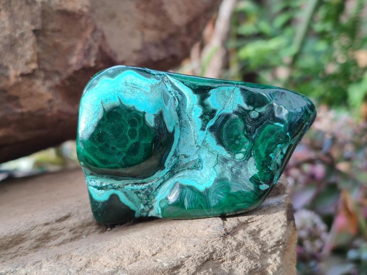 Polished Malacolla Free Forms x 12 From Kulukuluku, Congo - Toprock Gemstones and Minerals 