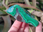Polished Malacolla Free Forms x 12 From Kulukuluku, Congo - Toprock Gemstones and Minerals 