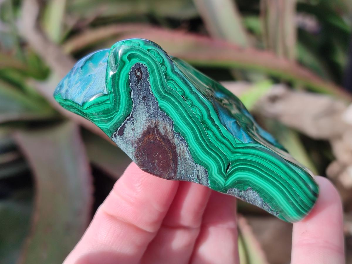 Polished Malacolla Free Forms x 12 From Kulukuluku, Congo - Toprock Gemstones and Minerals 
