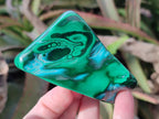 Polished Malacolla Free Forms x 12 From Kulukuluku, Congo - Toprock Gemstones and Minerals 