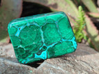 Polished Malacolla Free Forms x 12 From Kulukuluku, Congo - Toprock Gemstones and Minerals 