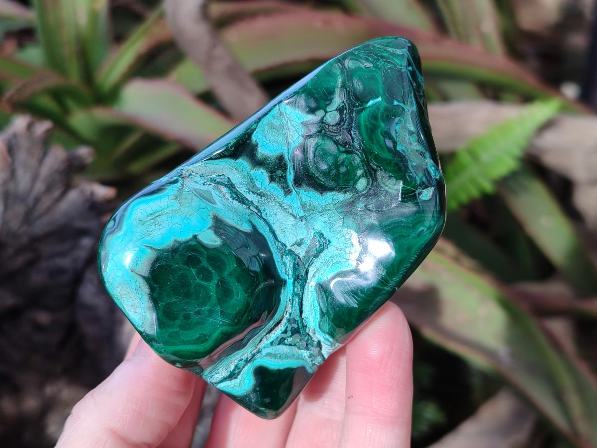 Polished Malacolla Free Forms x 12 From Kulukuluku, Congo - Toprock Gemstones and Minerals 