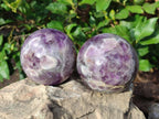Polished Large Chevron Amethyst Spheres with Wooden Stands x 2 From Madagascar - Toprock Gemstones and Minerals 