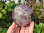 Polished Large Chevron Amethyst Spheres with Wooden Stands x 2 From Madagascar - Toprock Gemstones and Minerals 