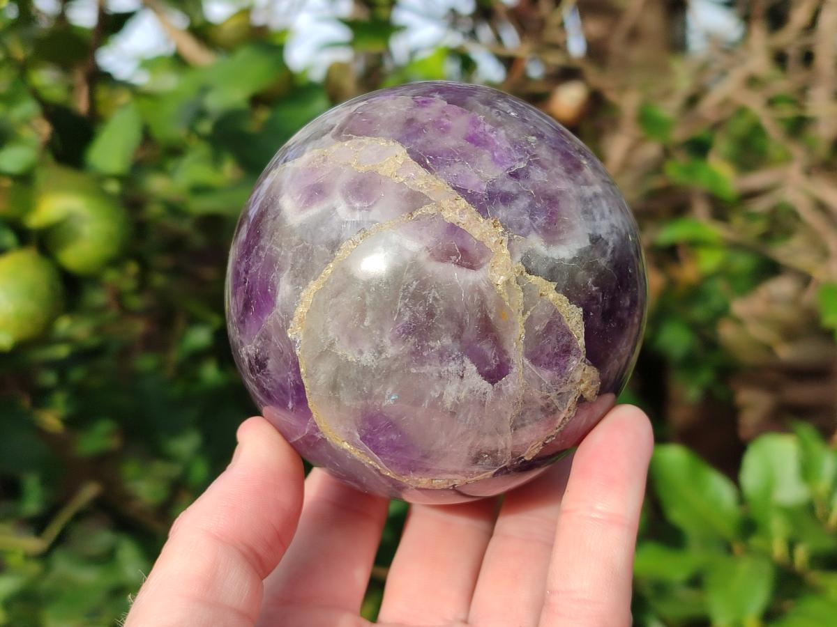 Polished Large Chevron Amethyst Spheres with Wooden Stands x 2 From Madagascar - Toprock Gemstones and Minerals 