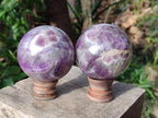 Polished Large Chevron Amethyst Spheres with Wooden Stands x 2 From Madagascar - Toprock Gemstones and Minerals 