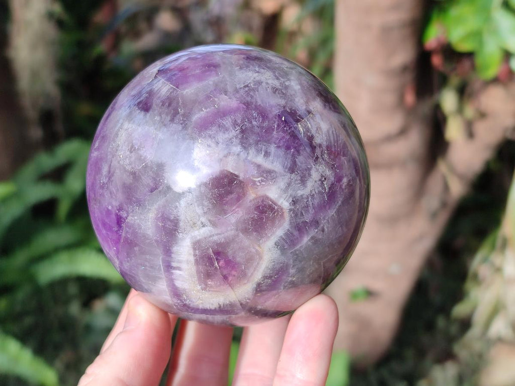 Polished Large Chevron Amethyst Spheres with Wooden Stands x 2 From Madagascar - Toprock Gemstones and Minerals 