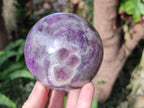 Polished Large Chevron Amethyst Spheres with Wooden Stands x 2 From Madagascar - Toprock Gemstones and Minerals 