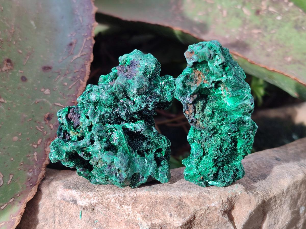 Natural Silky Malachite Specimens x 12 From Kasompe, Congo - Toprock Gemstones and Minerals 