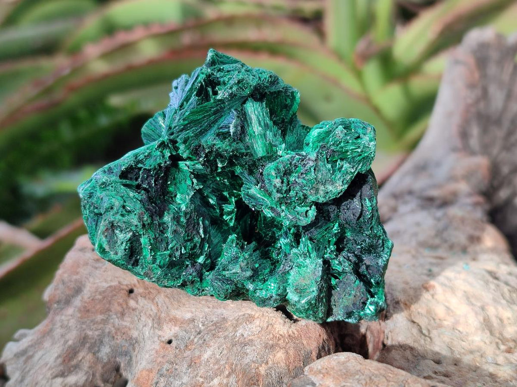Natural Silky Malachite Specimens x 12 From Kasompe, Congo - Toprock Gemstones and Minerals 