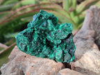 Natural Silky Malachite Specimens x 12 From Kasompe, Congo - Toprock Gemstones and Minerals 