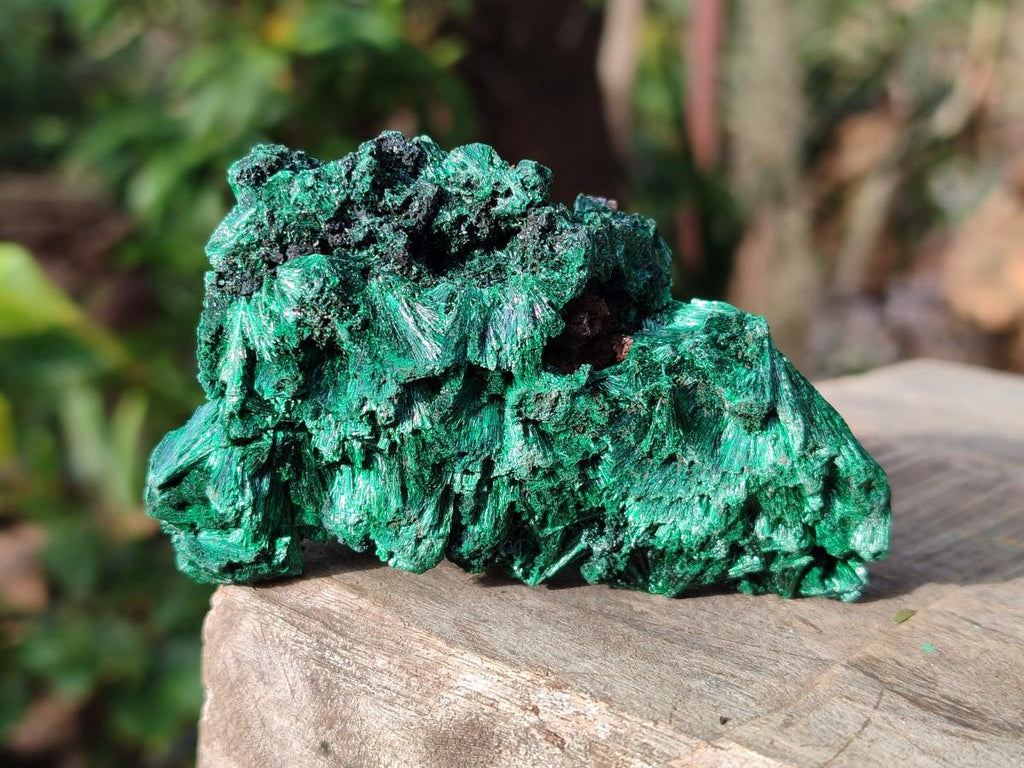Natural Silky Malachite Specimens x 12 From Kasompe, Congo - Toprock Gemstones and Minerals 