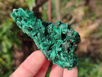 Natural Silky Malachite Specimens x 12 From Kasompe, Congo - Toprock Gemstones and Minerals 
