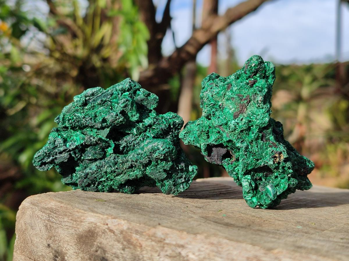 Natural Silky Malachite Specimens x 12 From Kasompe, Congo - Toprock Gemstones and Minerals 