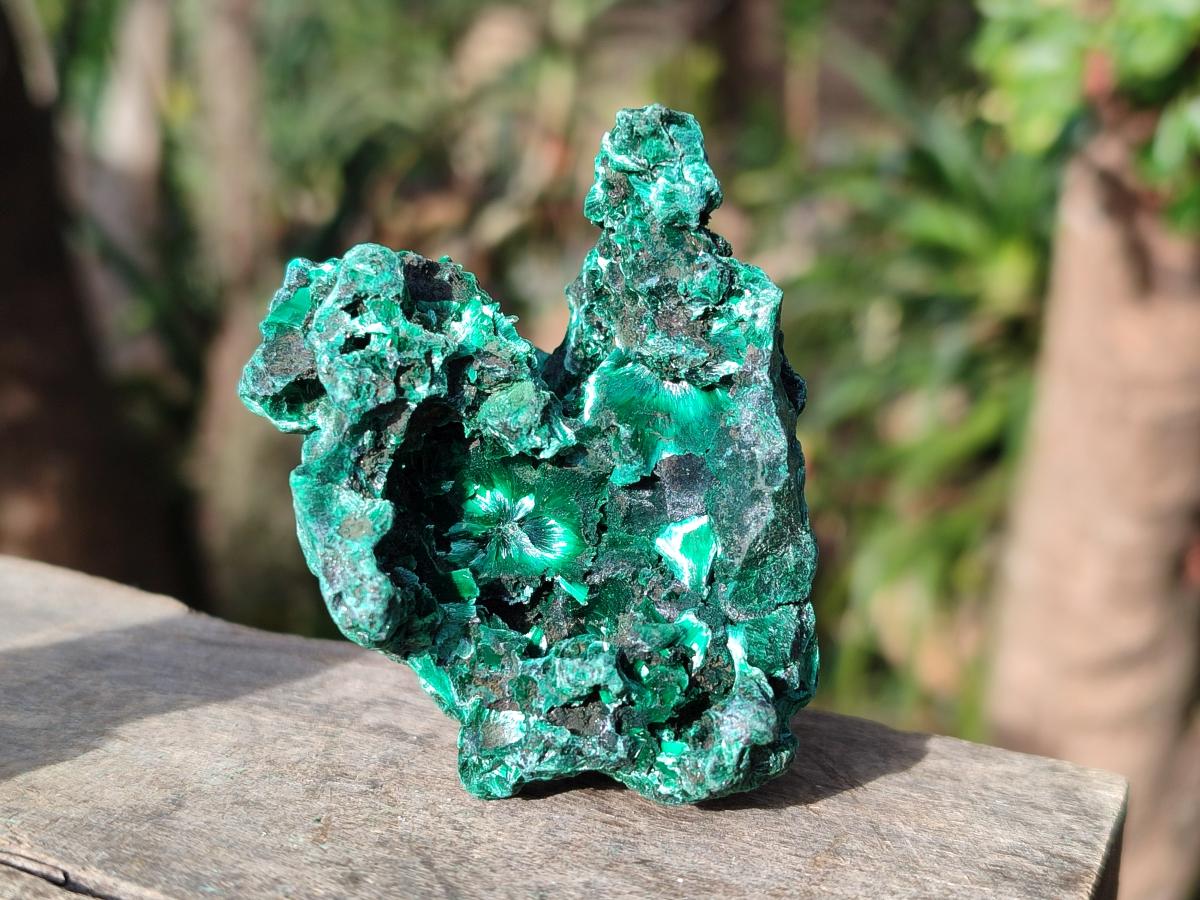 Natural Silky Malachite Specimens x 12 From Kasompe, Congo - Toprock Gemstones and Minerals 